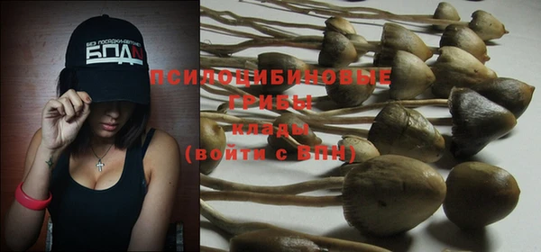 PSILOCYBIN Нефтекумск
