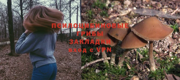 винт Абинск
