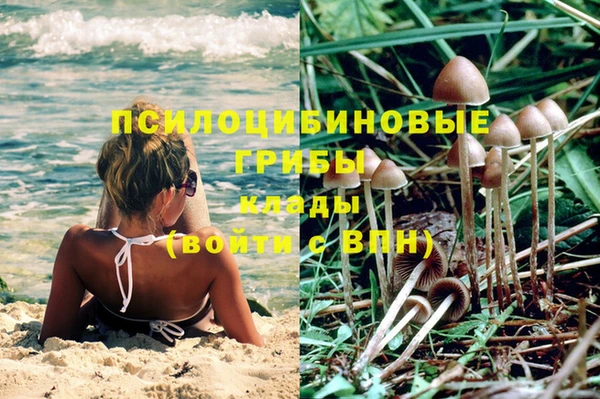 PSILOCYBIN Нефтекумск
