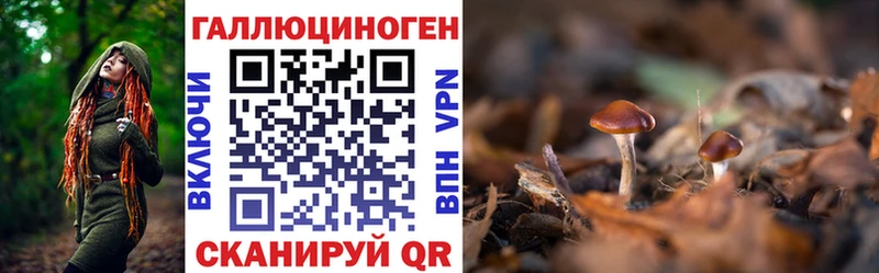 Псилоцибиновые грибы мицелий  это телеграм  Шадринск 