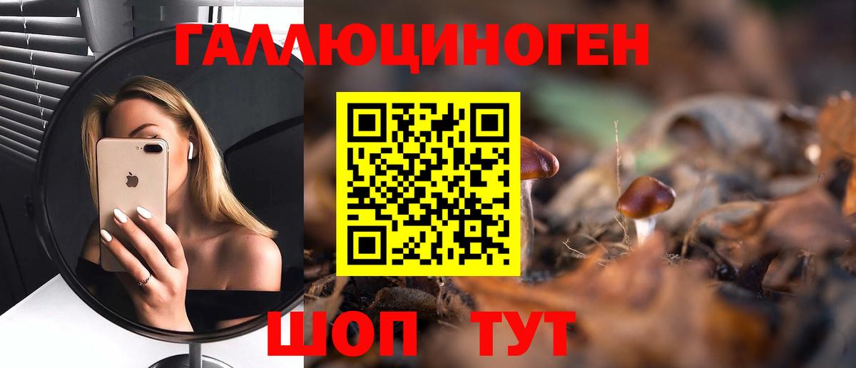 Галлюциногенные грибы мицелий  Вход с VPN  магазин    Шадринск 