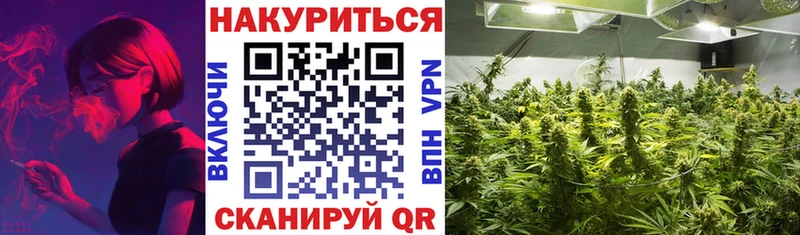 Бошки Шишки гибрид  KRAKEN tor  Шадринск 